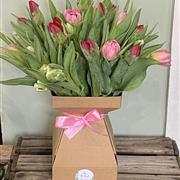 Mixed english tulips in a eco box