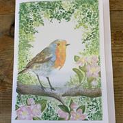 Robin Greetings Card