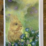 Bunny Greetings Card