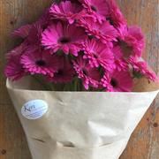 Simply Blooms - Rich Gerbera &amp; germini