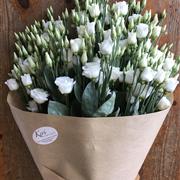 Simply Blooms - Lisianthus