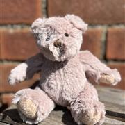 Teddy