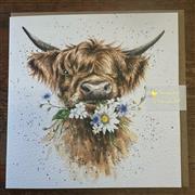 Daisy cow greeting card 
