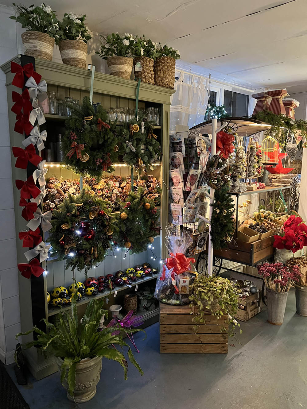 Wallingford Flowers by Debi